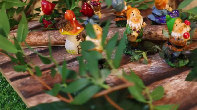 Amazon.com: JUNIQUTE Mini Gnomes Fairy Garden Set Seven Dwarfs